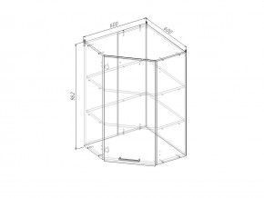 ВУ9 Модуль верхний Угловой МВУ9 в Лесном - lesnoj.magazinmebel.ru | фото